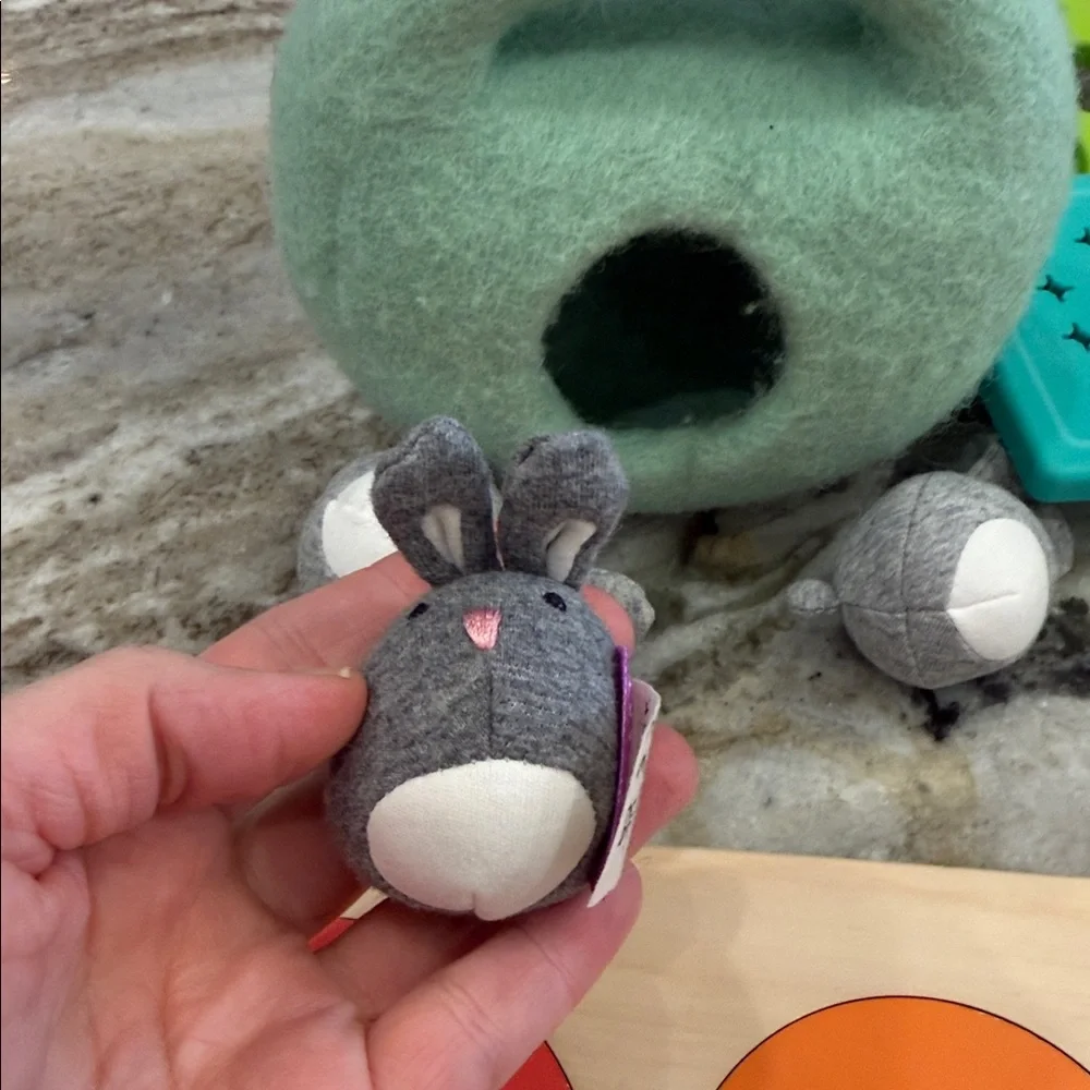 The Babbler Play Kit Lovevery Months 13, 14, and 15 

All original COMPLETE KIT - Picture 3 of 12